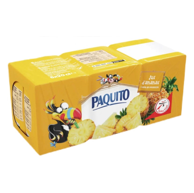 briques jus d'ananas 6x20cl